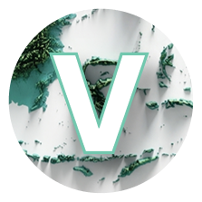 Vox Populi Law Review Logo